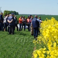 Baigiasi pavasario darbai augalininkystėje: ką dar liko nuveikti?