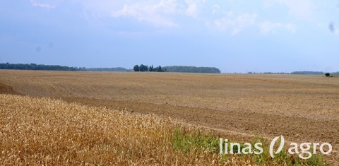 2018 metų javapjūtės ir rudens sėjos prioritetai 2018 metų javapjūtės ir rudens sėjos prioritetai