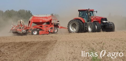 Šių metų žieminių rapsų sėja: viskas, ką turite žinoti Šių metų žieminių rapsų sėja: viskas, ką turite žinoti