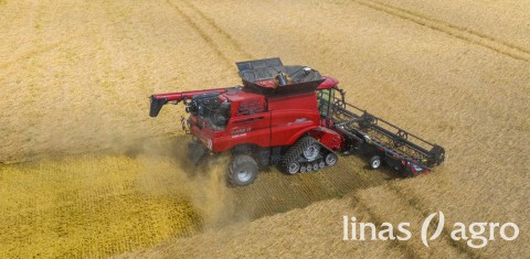 Grūdų rinkos apžvalga, 29 savaitė Grūdų rinkos apžvalga, 29 savaitė