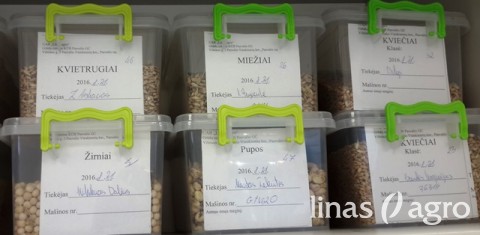 Jau laikas pradėti ruošti sėklas pavasario sėjai Jau laikas pradėti ruošti sėklas pavasario sėjai