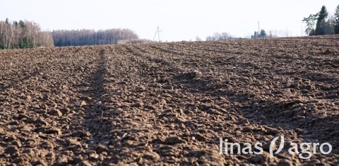 Ką vertėtų žinoti apie dirvožemius prieš 2018 metų pavasario sėją? Ką vertėtų žinoti apie dirvožemius prieš 2018 metų pavasario sėją?