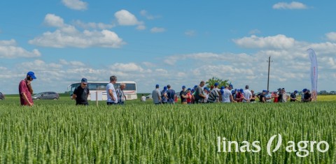 Lauko dienose - galimybė įvertinti veisles ir technologinius sprendimus Lauko dienose - galimybė įvertinti veisles ir technologinius sprendimus