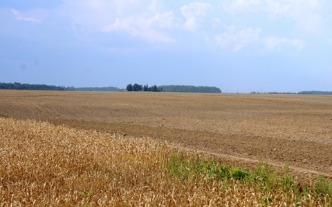 2018 metų javapjūtės ir rudens sėjos prioritetai