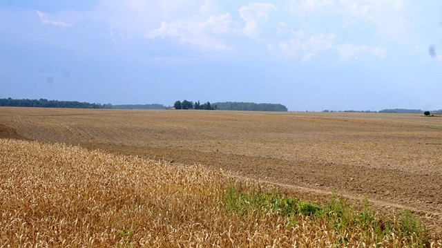 2018 metų javapjūtės ir rudens sėjos prioritetai