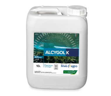 ALCYGOL K