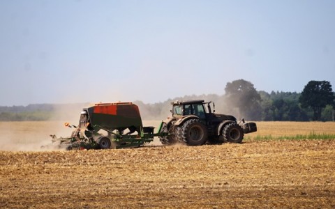 Apie žieminių rapsų sėją 2018 metų rudenį Apie žieminių rapsų sėją 2018 metų rudenį