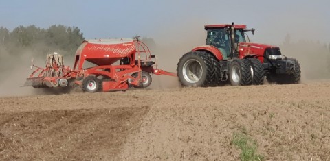 Šių metų žieminių rapsų sėja: viskas, ką turite žinoti Šių metų žieminių rapsų sėja: viskas, ką turite žinoti