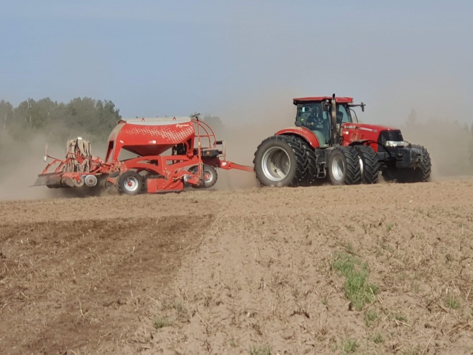 Šių metų žieminių rapsų sėja: viskas, ką turite žinoti