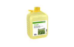 Augimo reguliatorius Terpal, 5 L