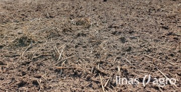 Bakteriniai preparatai 2020 m. augalininkystėje Bakteriniai preparatai 2020 m. augalininkystėje