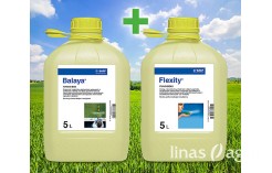 Balaya® + Flexity® Pack Balaya® + Flexity® Pack