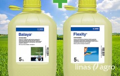 Balaya® + Flexity® Pack Balaya® + Flexity® Pack