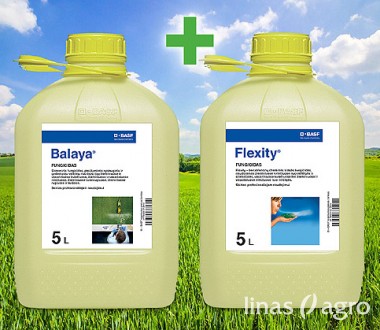 Balaya® + Flexity® Pack