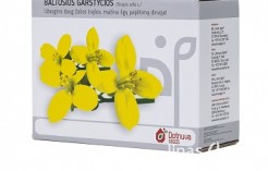 Baltosios garstyčios BRACO (1 kg) Baltosios garstyčios BRACO (1 kg)