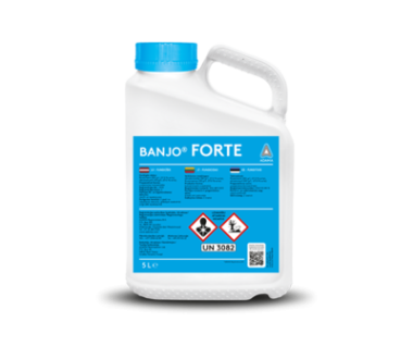 Banjo Forte SC