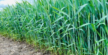 Belaukiant šiltesnių orų: kokius darbus dar turi padaryti ūkininkai? Belaukiant šiltesnių orų: kokius darbus dar turi padaryti ūkininkai?