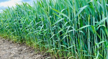 Belaukiant šiltesnių orų: kokius darbus dar turi padaryti ūkininkai?