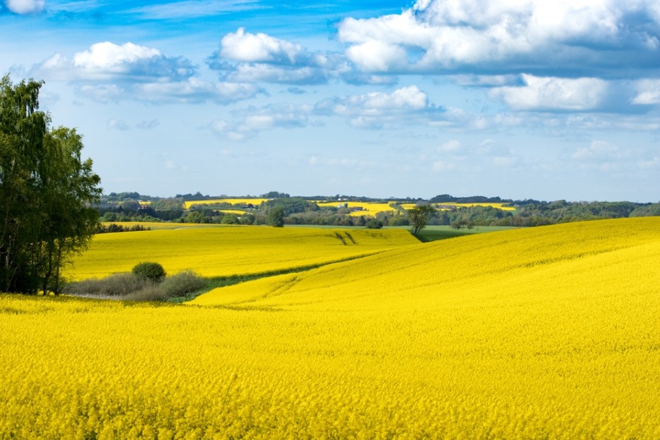 Biostimuliatoriai, pesticidai ir trąšos: kas kam padeda?