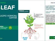 N-LEAF – ekologinis sprendimas su intensyviomis lapų baketrijomis