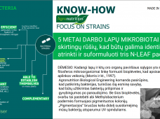 N-LEAF – ekologinis sprendimas su intensyviomis lapų baketrijomis