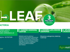 N-LEAF – ekologinis sprendimas su intensyviomis lapų baketrijomis