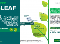 N-LEAF – ekologinis sprendimas su intensyviomis lapų baketrijomis