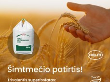 Profesionalus dirvos pagerinimas: trigubo superfosfato naudojimas