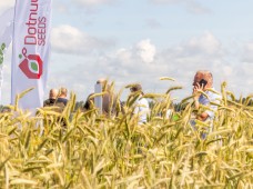 Šios įmonės ekspertai kalba apie Lietuvoje neišnaudojamą potencialą: naudodami tokias sėklas, sulauksite maksimalaus derliaus 
