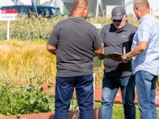 Šios įmonės ekspertai kalba apie Lietuvoje neišnaudojamą potencialą: naudodami tokias sėklas, sulauksite maksimalaus derliaus 