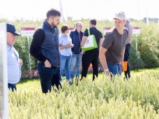 Šios įmonės ekspertai kalba apie Lietuvoje neišnaudojamą potencialą: naudodami tokias sėklas, sulauksite maksimalaus derliaus 