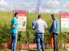 Šios įmonės ekspertai kalba apie Lietuvoje neišnaudojamą potencialą: naudodami tokias sėklas, sulauksite maksimalaus derliaus 