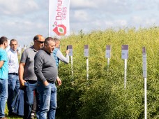 Šios įmonės ekspertai kalba apie Lietuvoje neišnaudojamą potencialą: naudodami tokias sėklas, sulauksite maksimalaus derliaus 