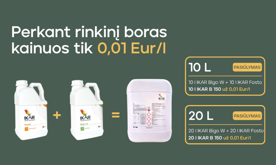 BORAS UŽ 0,01 Eur/l?