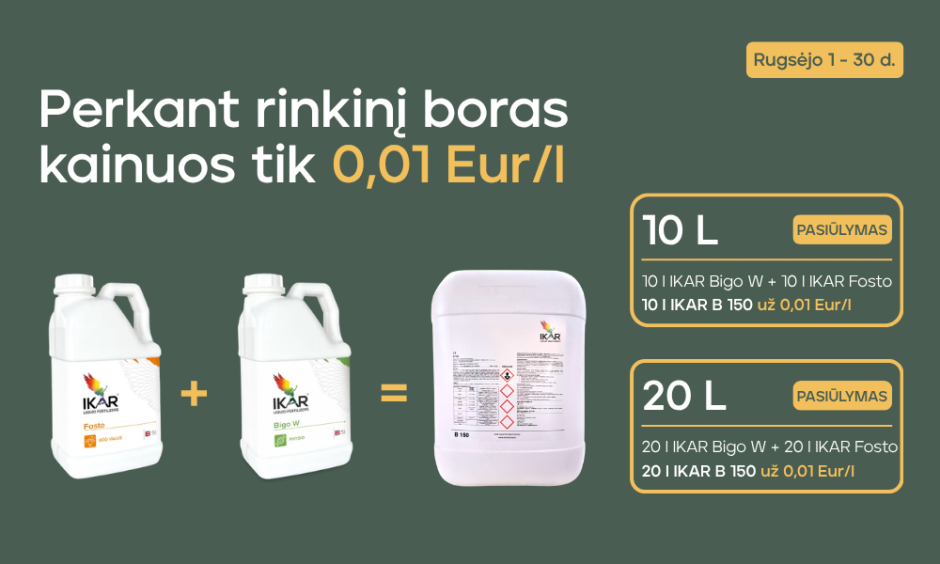 BORAS UŽ 0,01 Eur/l?