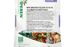 BRATAN FOLIAR 18-18-18 + 3MgO + mikro (1 kg) BRATAN FOLIAR 18-18-18 + 3MgO + mikro (1 kg)