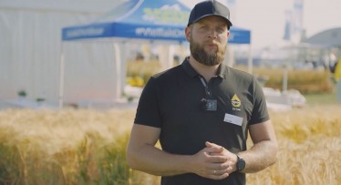 Saaten Union žieminių miežių veislė JAKUBUS