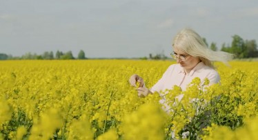 Žieminių rapsų sėklų asortimentas, skirtas 2022 metų rudens sezonui