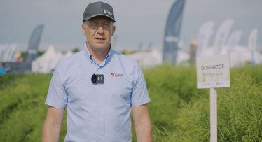 „Dotnuva Seeds" žieminių rapsų veislių kolekcija