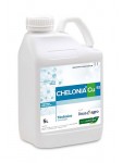 Chelonia Cu93