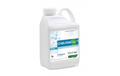 Chelonia Cu93 Chelonia Cu93
