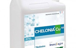 Chelonia Cu93 Chelonia Cu93