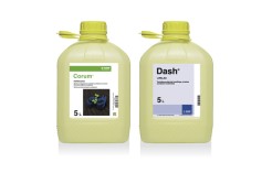 Corum + Dash