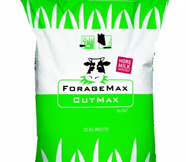 CUTMAX DIGEST