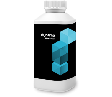 Dynamo