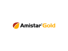 Fungicidas Amistar Gold, 5 L