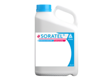 Fungicidas Soratel 250 EC, 5 L