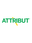 Herbicidas Attribut, 1 kg
