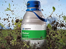 Herbicidas Belkar, 5 L