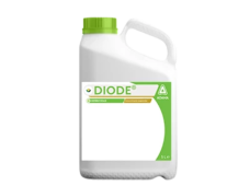 Herbicidas Diode, 5 L